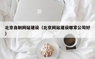陇南北京自制网站建设（北京网站建设哪家公司好）